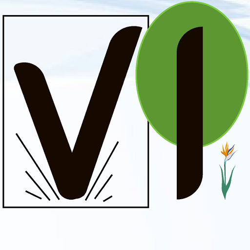 VINSER Consultora